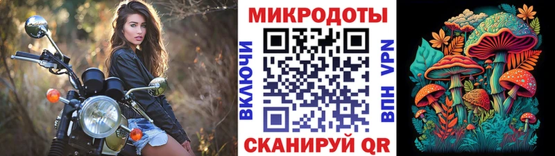Псилоцибиновые грибы Psilocybe  кракен зеркало  Ялуторовск 