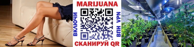 Конопля план  Ялуторовск 